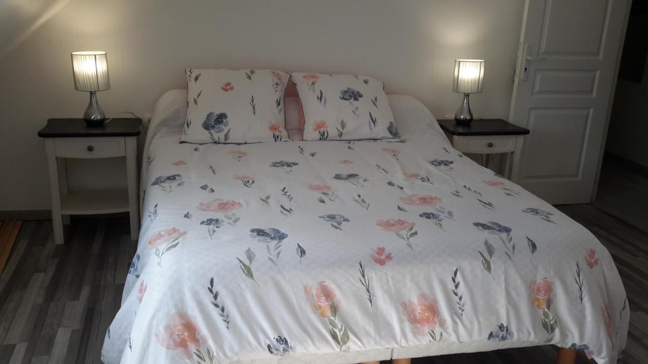 Le Chat Bleu Pont-Croix Luaran gambar